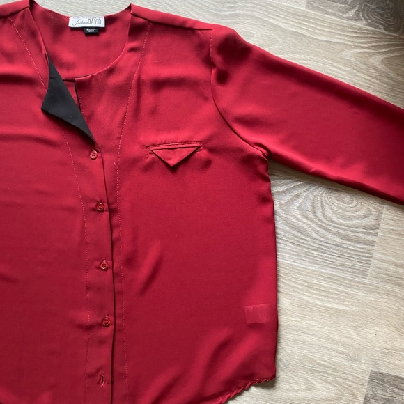 Sheer Blouse Button Down - Picture 3 of 5